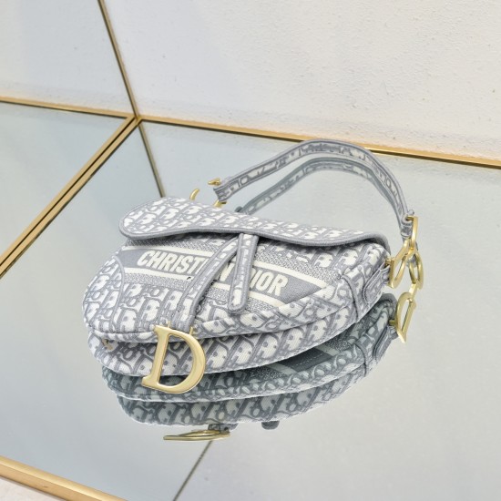 Dior Saddle