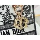 Dior Lady