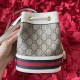 Gucci Ophidia