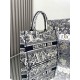Dior Book Tote