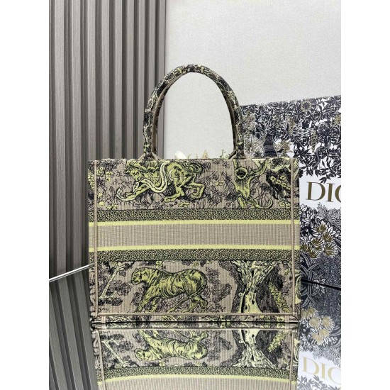 Dior Book Tote