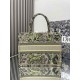 Dior Book Tote