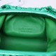 Bottega Veneta Pouch