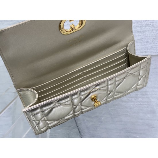Dior Caro