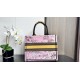 Dior Book Tote