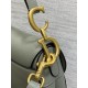 Dior Saddle