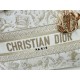 Dior Lady
