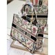 Dior Book Tote