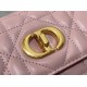 Dior Caro