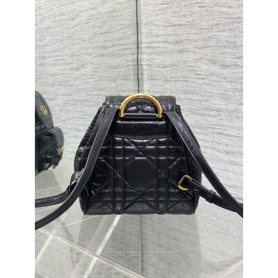 Dior Caro