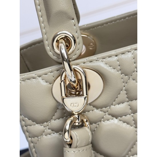 Dior Lady