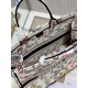 Dior Book Tote