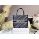 Dior Book Tote