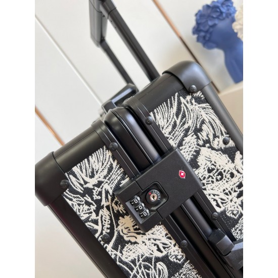 Dior Suitcase