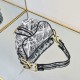 Dior Saddle
