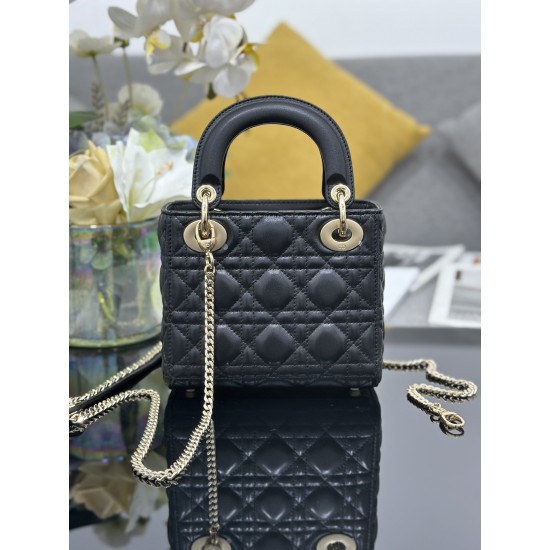 Dior Lady