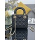 Dior Lady