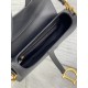 Dior Saddle