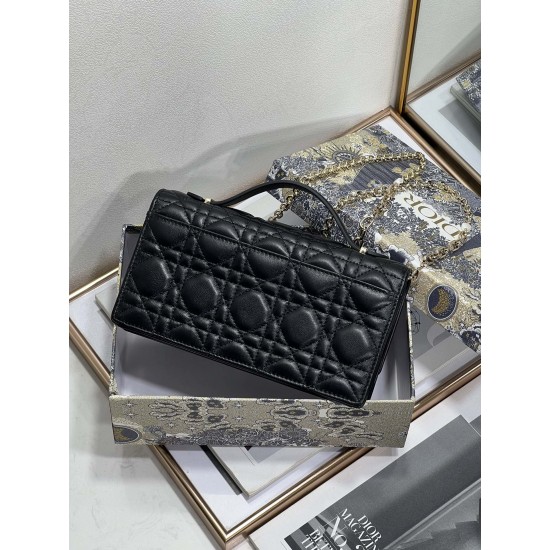Dior Lady