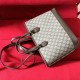 Gucci Ophidia