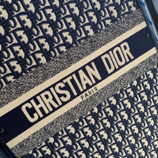 Dior Suitcase