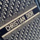 Dior Suitcase