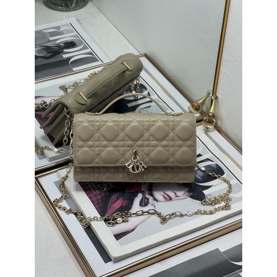 Dior Lady