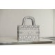 Dior Book Tote