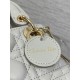 Dior Lady
