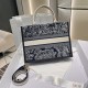 Dior Book Tote