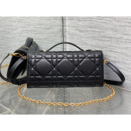 Dior Caro