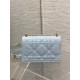Dior Caro