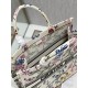Dior Book Tote