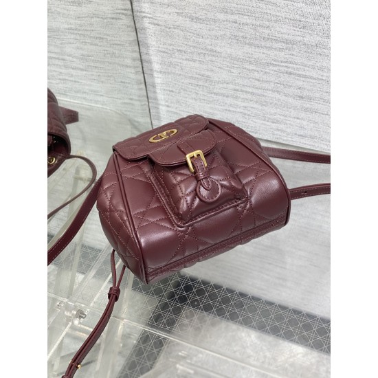 Dior Caro