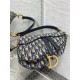Dior Saddle