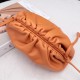 Bottega Veneta Pouch
