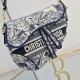 Dior Saddle
