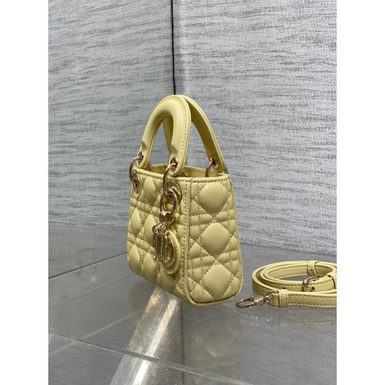 Dior Lady