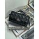Dior Lady