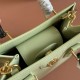 Gucci Diana