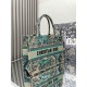 Dior Book Tote