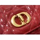 Dior Caro