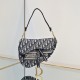 Dior Saddle