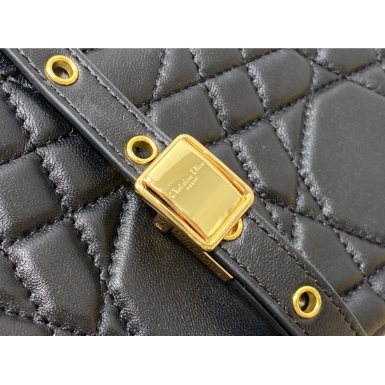Dior Caro