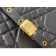 Dior Caro
