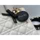 Dior Lady