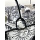 Dior Book Tote