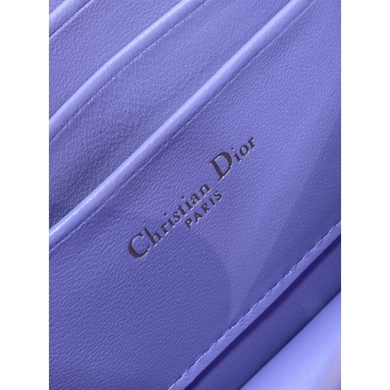 Dior Caro