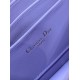 Dior Caro
