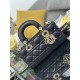 Dior Lady D-Joy